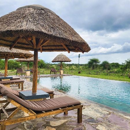 Africa Safari Serengeti Ikoma Eksteriør billede