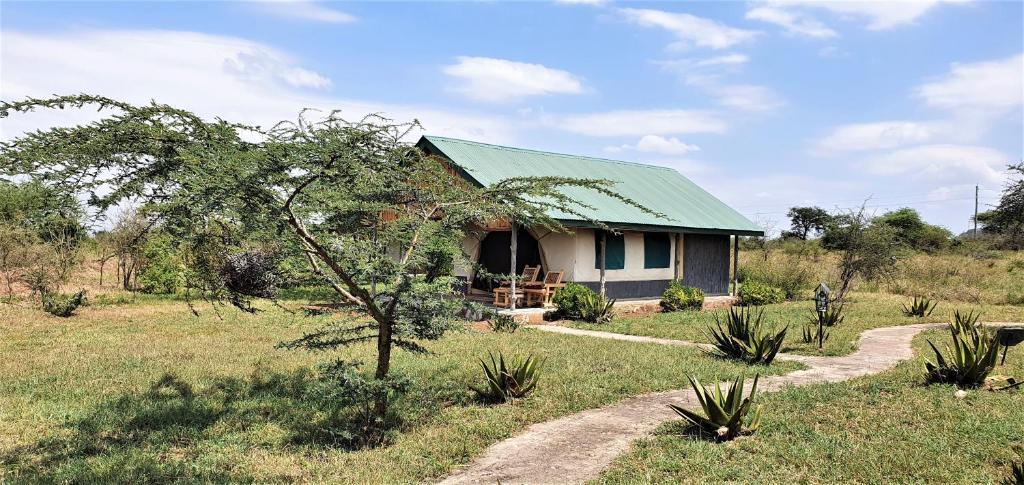 Africa Safari Serengeti Ikoma Eksteriør billede