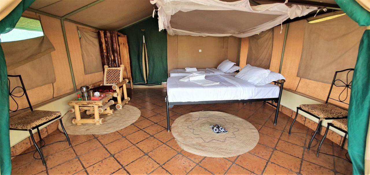 Africa Safari Serengeti Ikoma Eksteriør billede