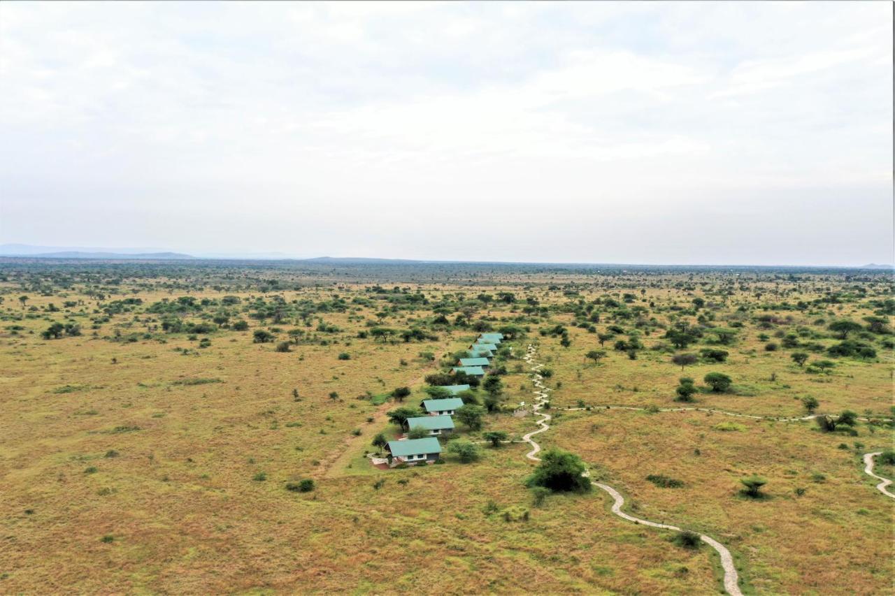Africa Safari Serengeti Ikoma Eksteriør billede