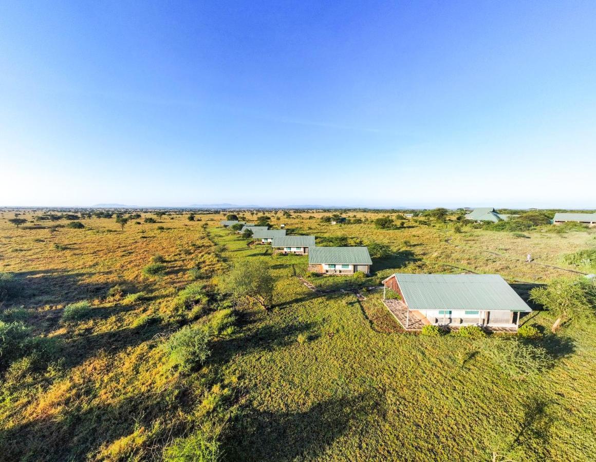 Africa Safari Serengeti Ikoma Eksteriør billede