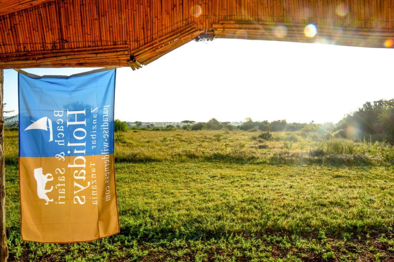 Africa Safari Serengeti Ikoma Eksteriør billede