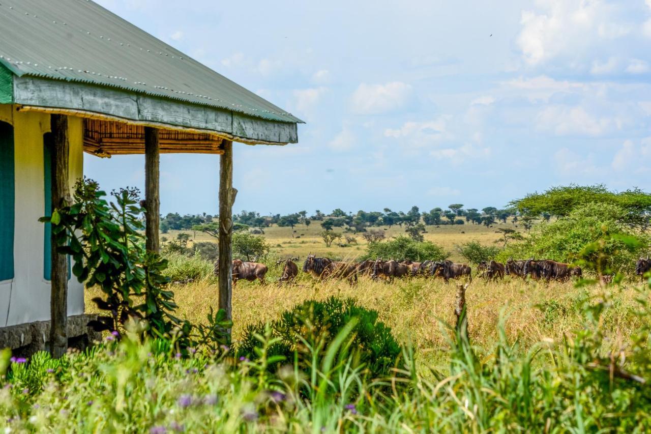 Africa Safari Serengeti Ikoma Eksteriør billede