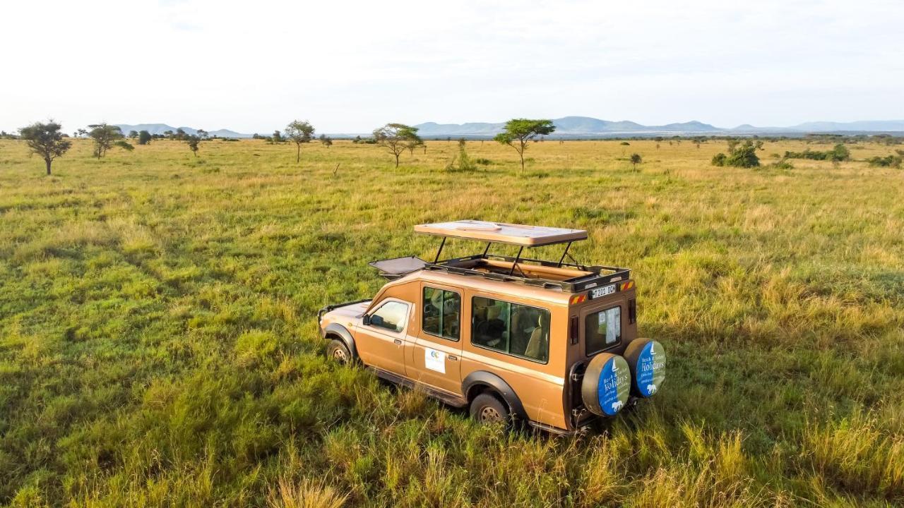 Africa Safari Serengeti Ikoma Eksteriør billede
