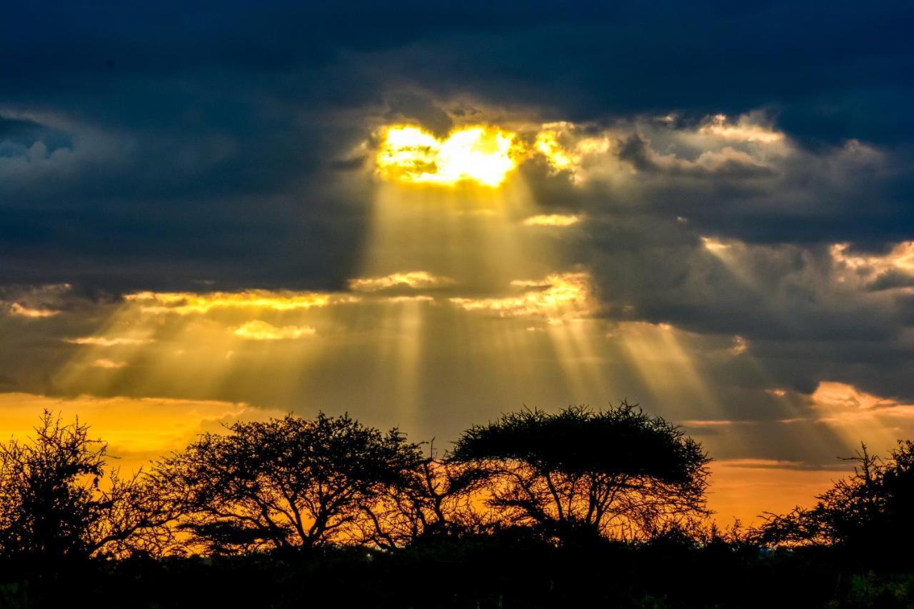 Africa Safari Serengeti Ikoma Eksteriør billede