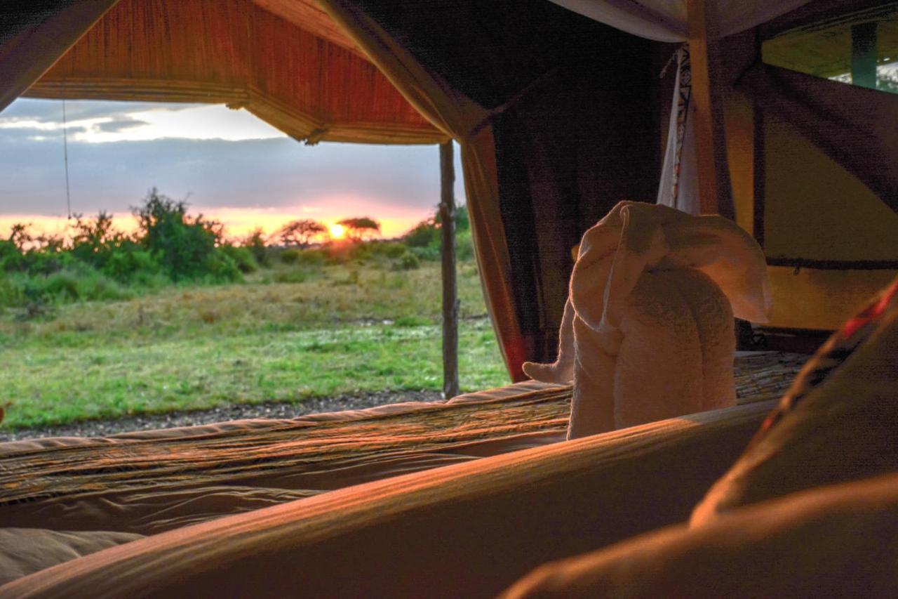 Africa Safari Serengeti Ikoma Eksteriør billede