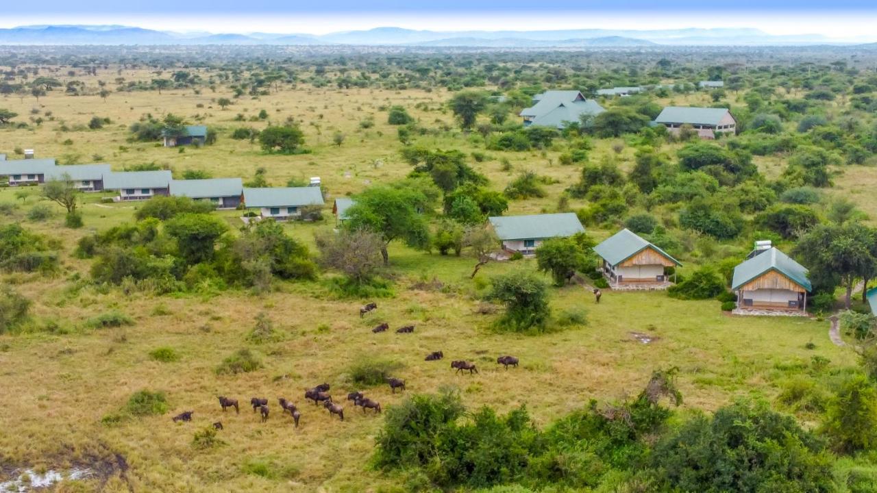 Africa Safari Serengeti Ikoma Eksteriør billede