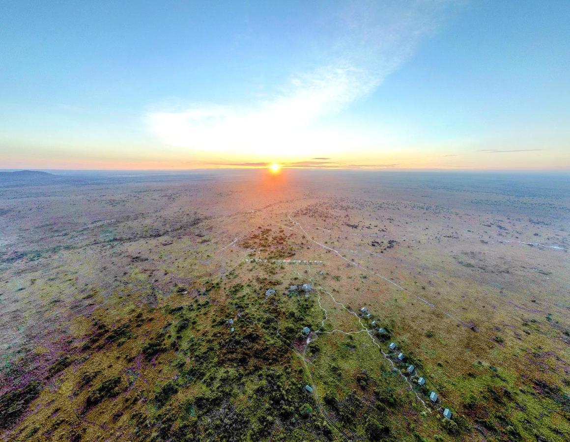Africa Safari Serengeti Ikoma Eksteriør billede