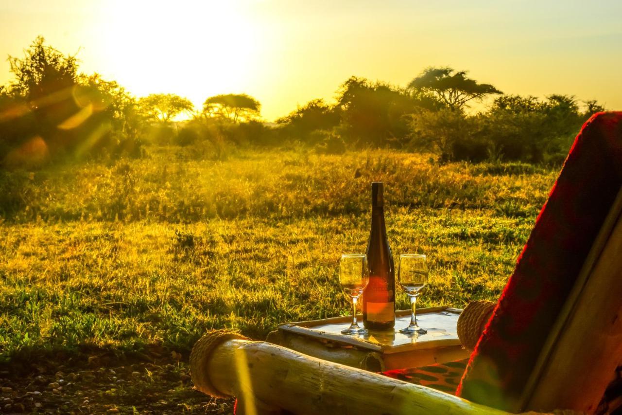 Africa Safari Serengeti Ikoma Eksteriør billede