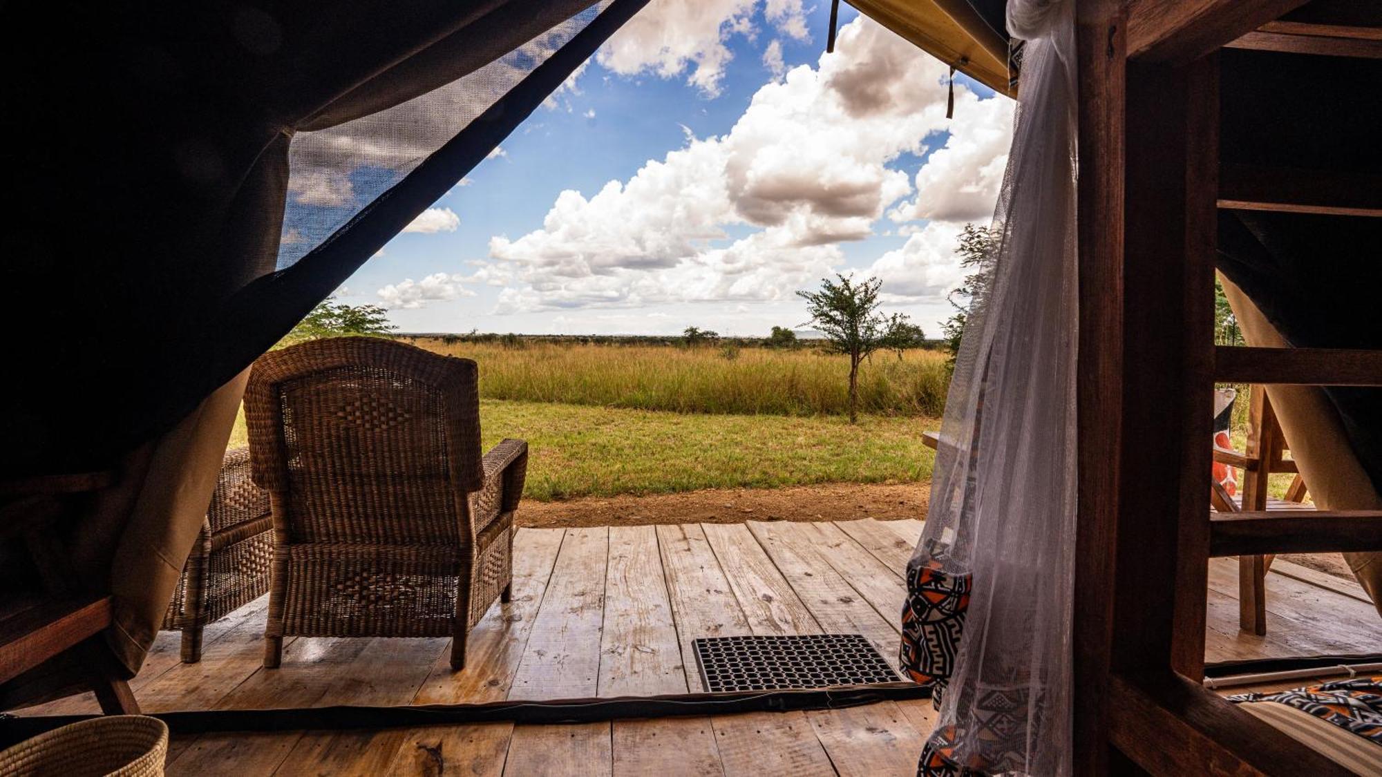 Africa Safari Serengeti Ikoma Eksteriør billede