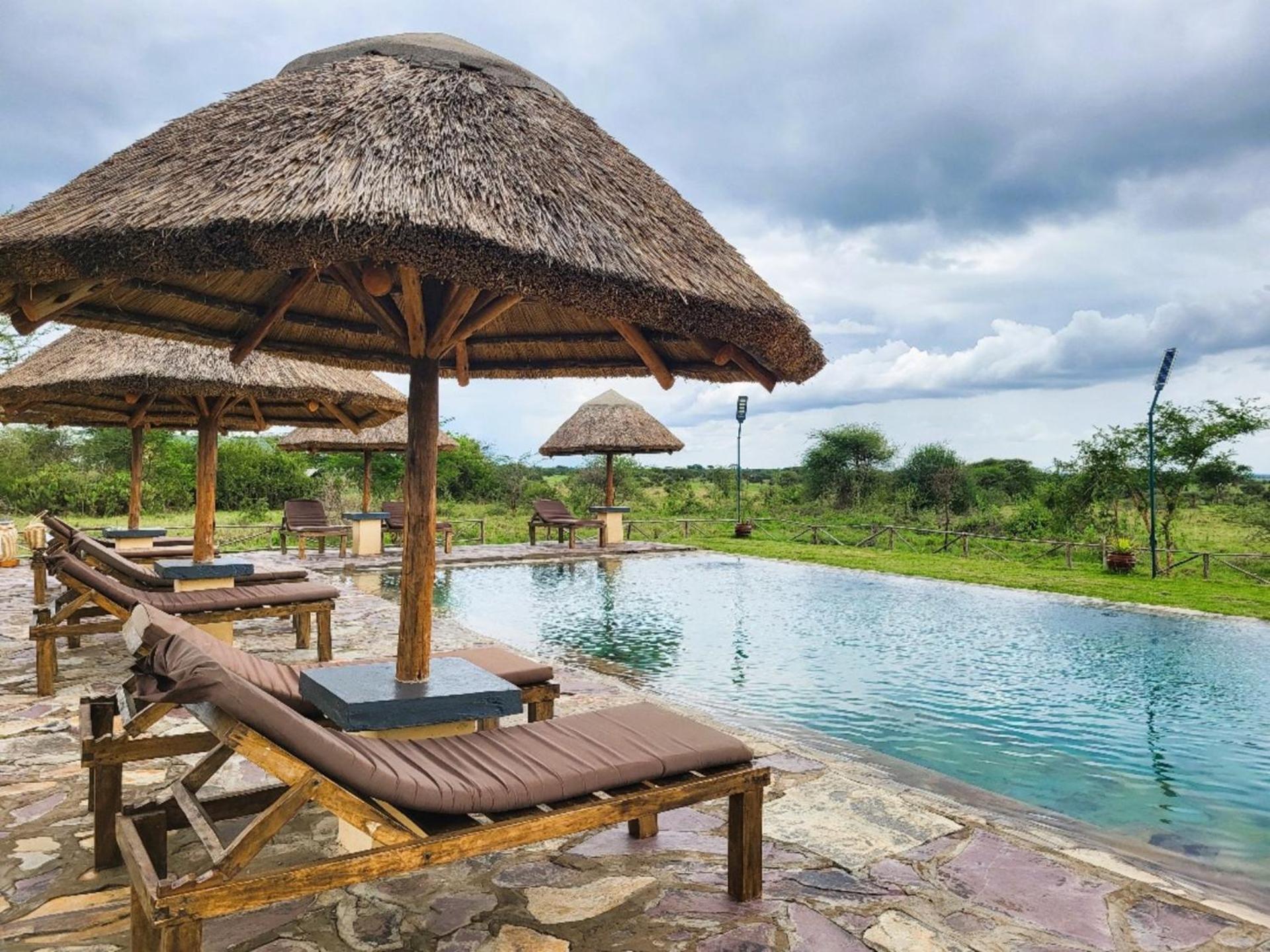 Africa Safari Serengeti Ikoma Eksteriør billede